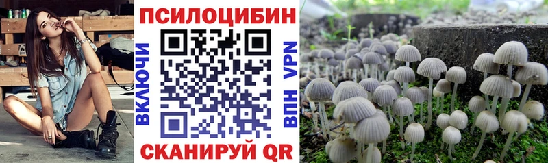 Галлюциногенные грибы Psilocybine cubensis Велиж